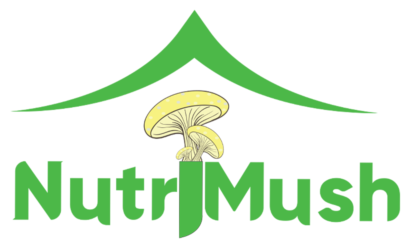 NutriMush Test