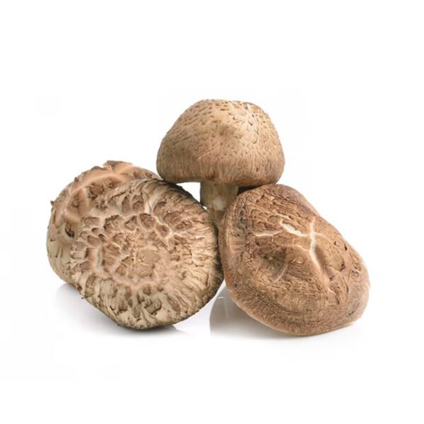 শীতাকে মাশরুম ৫০০ গ্রাম  - Fresh Shitake Mushroom