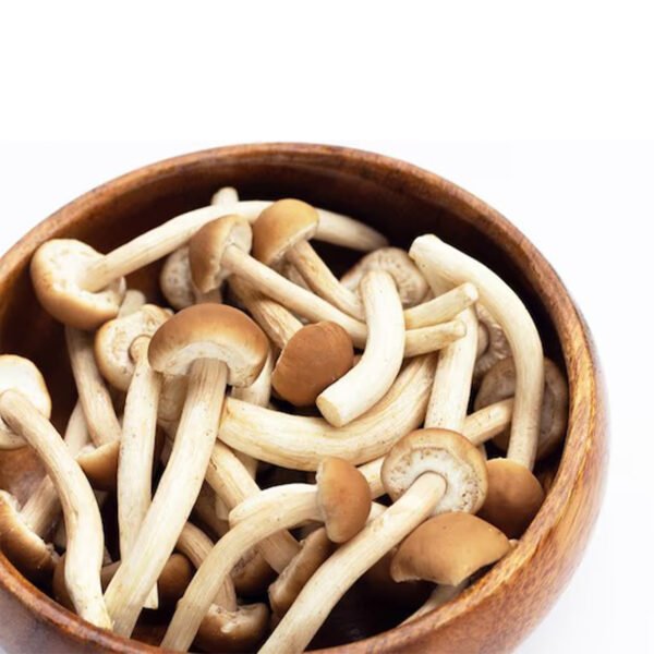 শিমেজি মাশরুম ৫০০ গ্রাম - Fresh Shimeji Mushroom