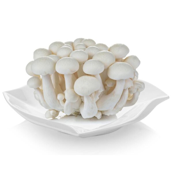 মিল্কি মাশরুম ৫০০ গ্রাম  - Fresh Milky Mushroom