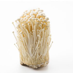 ইনোকি মাশরুম - ১ কেজি