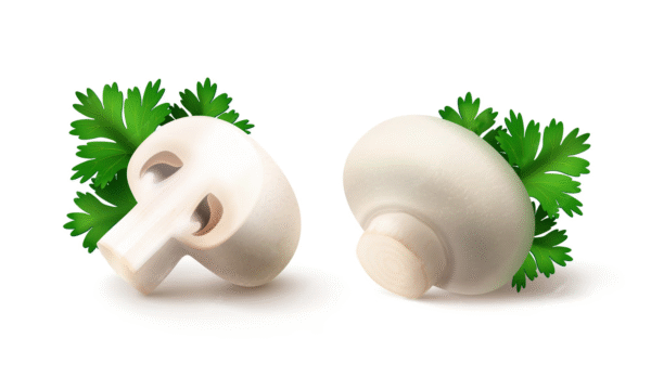 বাটন মাশরুম - Fresh Button Mushroom